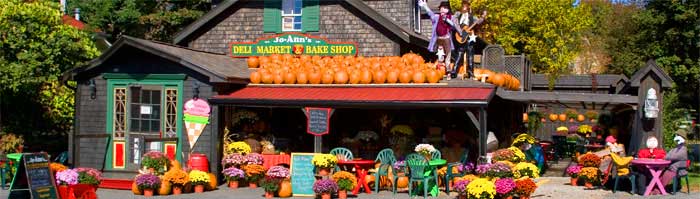 Jo-Ann's Deli Market & Bakery - home, take our virtual tour
